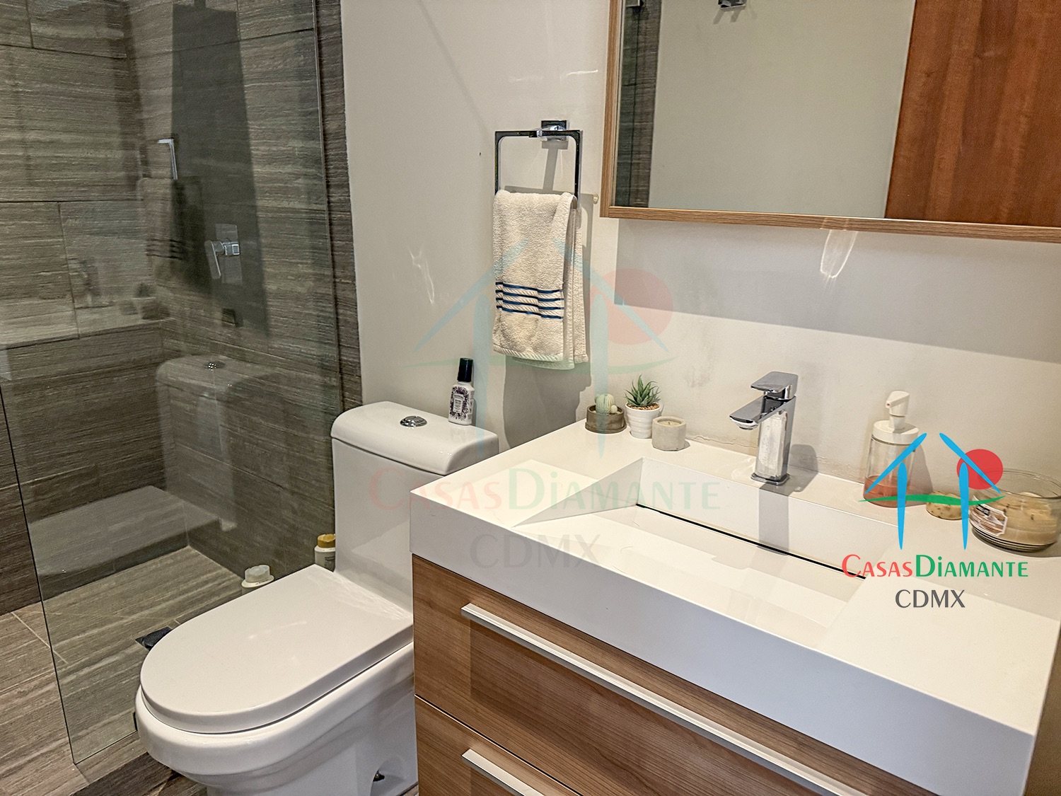 Av. Toluca Telma E BJB - Baño completo 2